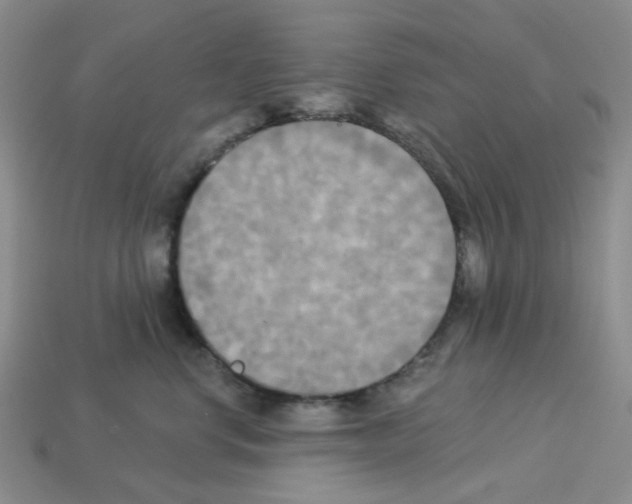 X0000112820668200910021203