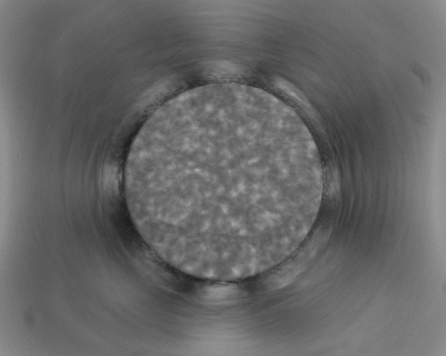 X0000112820669200910021203