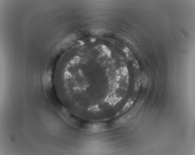 X0000112820670200910021203