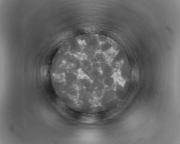 X0000112820671200910021203