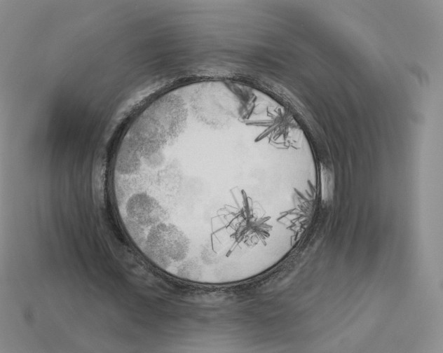 X0000112820675200910021203