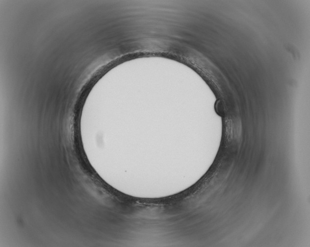 X0000112820676200910021203