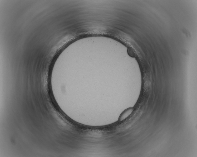 X0000112820677200910021203