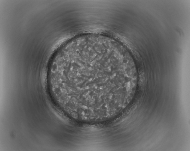 X0000112820679200910021203