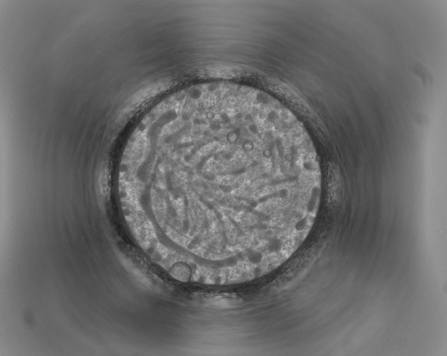 X0000112820683200910021203