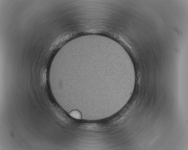 X0000112820685200910021203