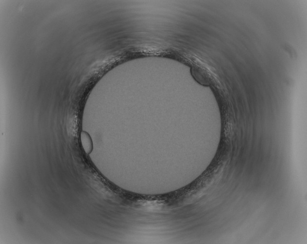 X0000112820689200910021202