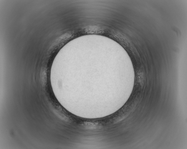 X0000112820690200910021202