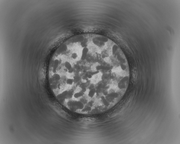 X0000112820691200910021202