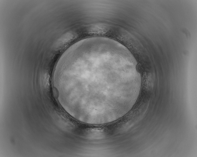 X0000112820692200910021202