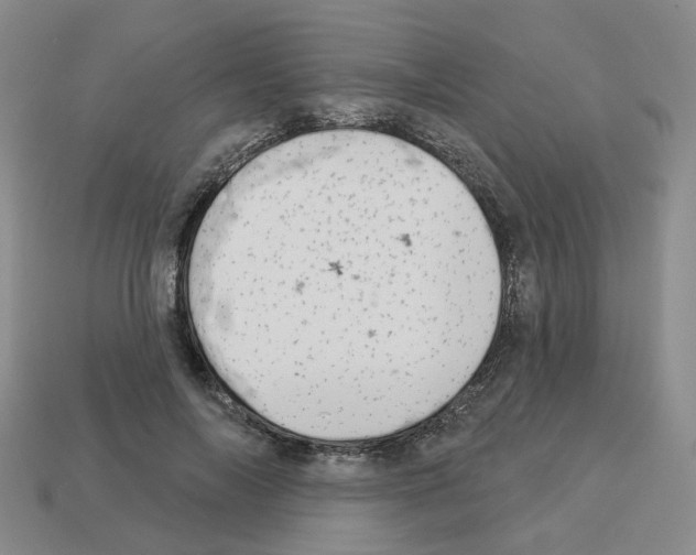 X0000112820694200910021202