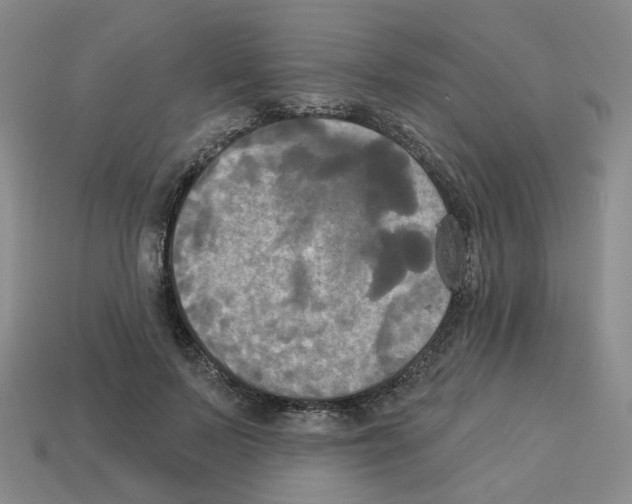 X0000112820695200910021202