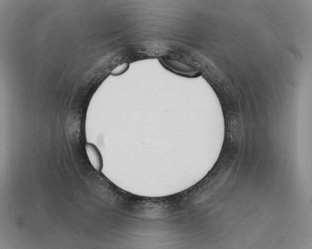 X0000112820697200910021202