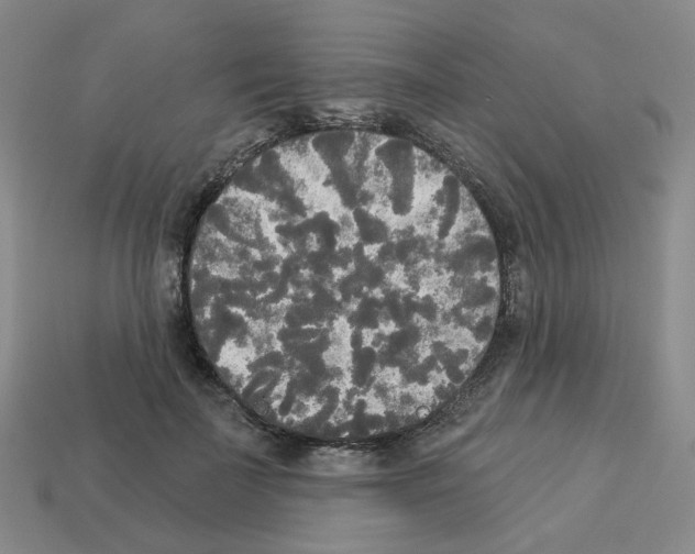 X0000112820699200910021202