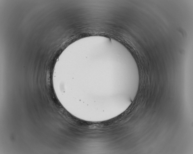 X0000112820700200910021202