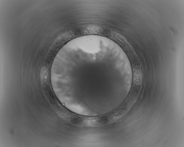 X0000112820701200910021202