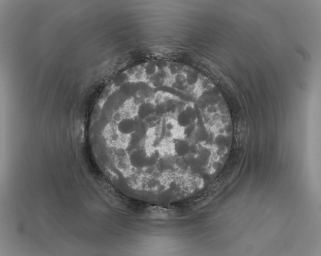 X0000112820703200910021202