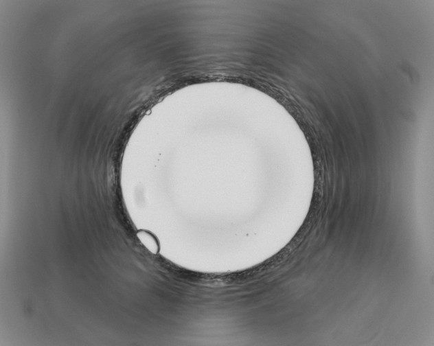 X0000112820704200910021202