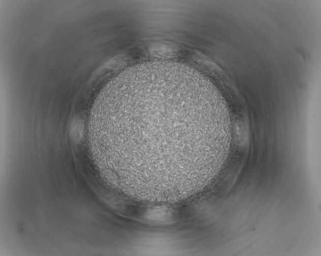 X0000112820705200910021202