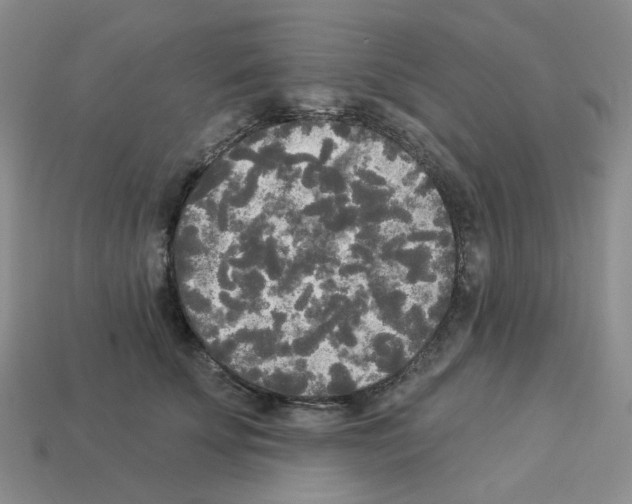 X0000112820707200910021202