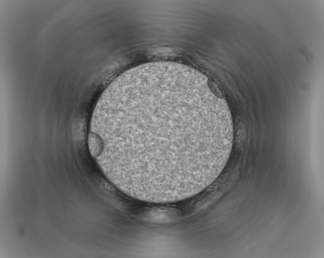 X0000112820708200910021202