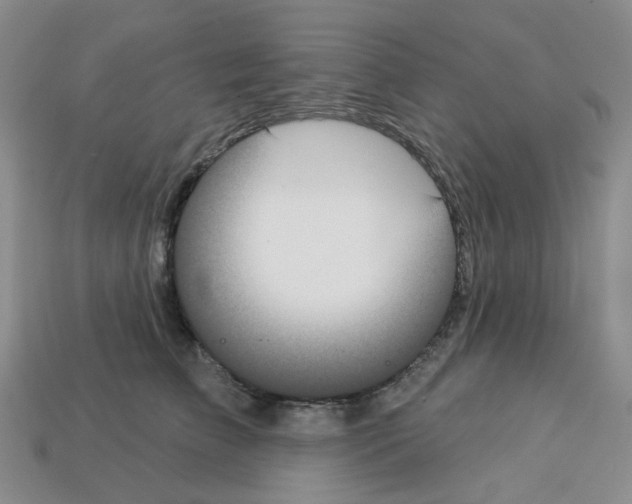 X0000112820709200910021202