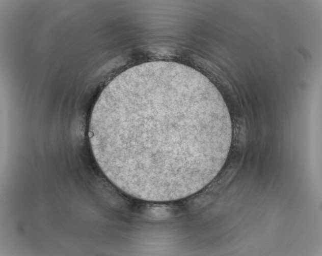 X0000112820710200910021202