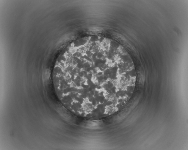 X0000112820711200910021202