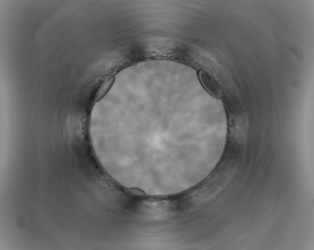 X0000112820712200910021202