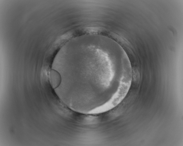 X0000112820718200910021202