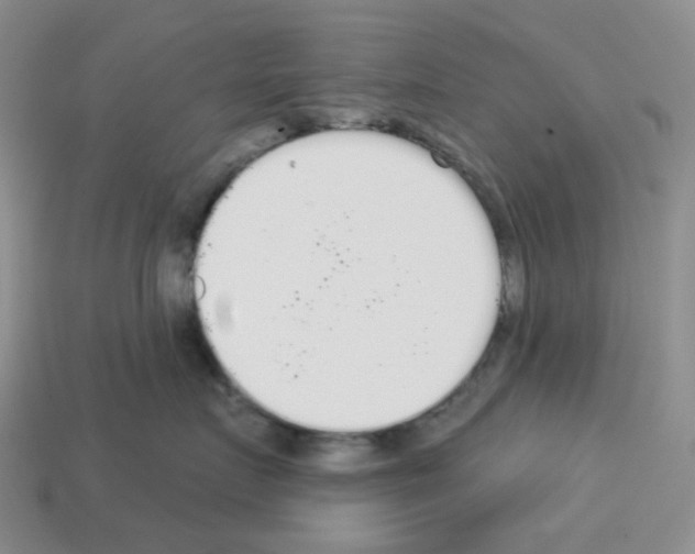 X0000112820719200910021202