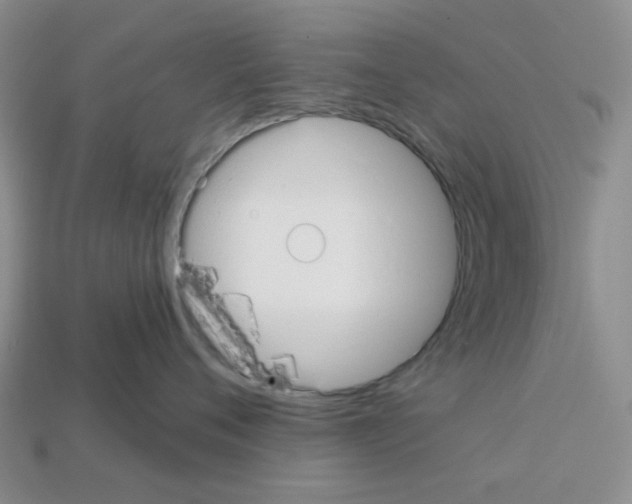 X0000112820720200910021202