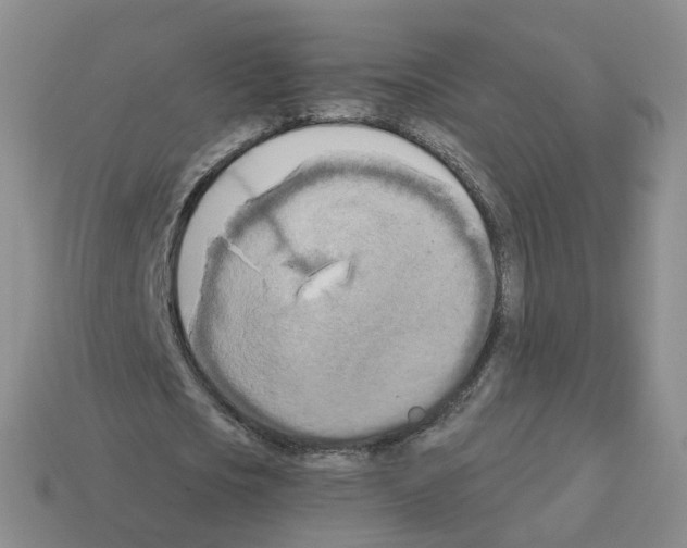 X0000112820721200910021201