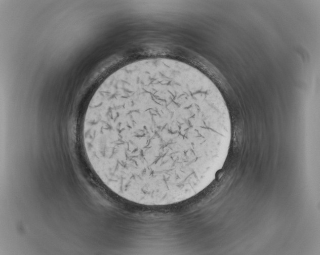 X0000112820722200910021201