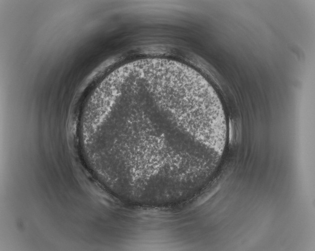 X0000112820723200910021201