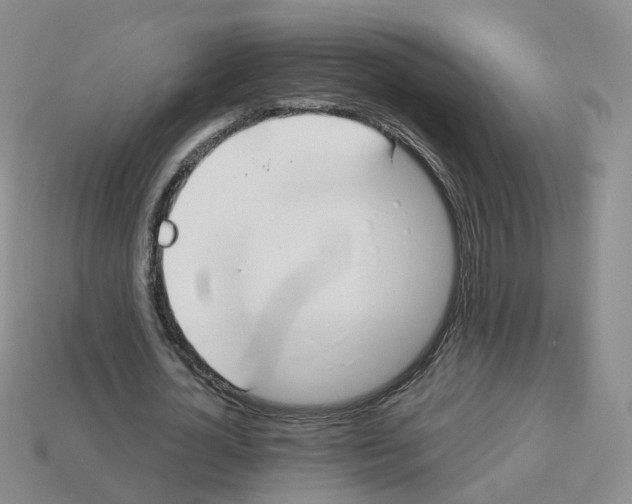 X0000112820724200910021201