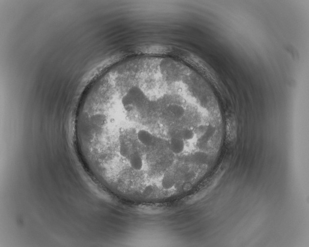 X0000112820725200910021201