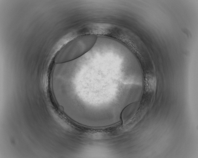 X0000112820726200910021201