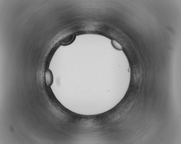 X0000112820728200910021201