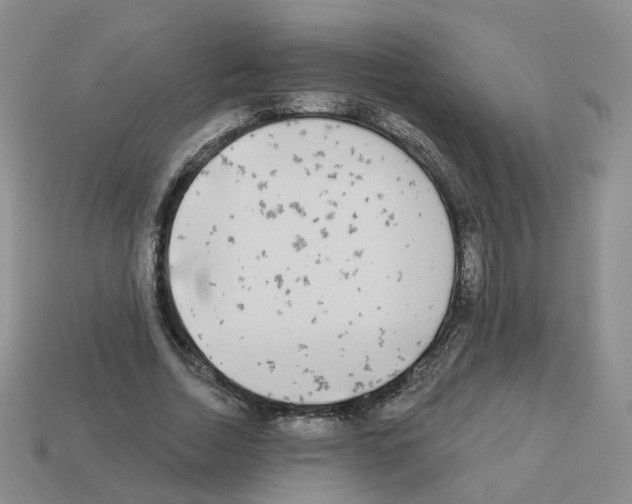 X0000112820730200910021201