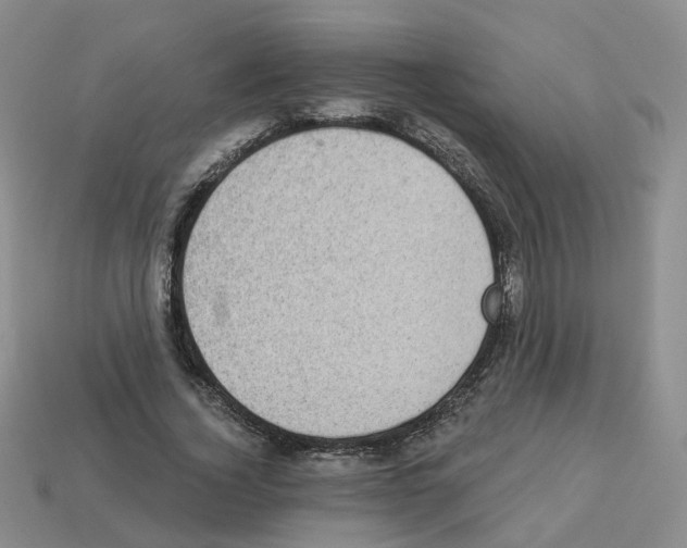 X0000112820732200910021201