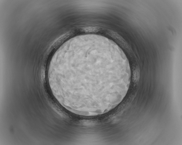 X0000112820733200910021202