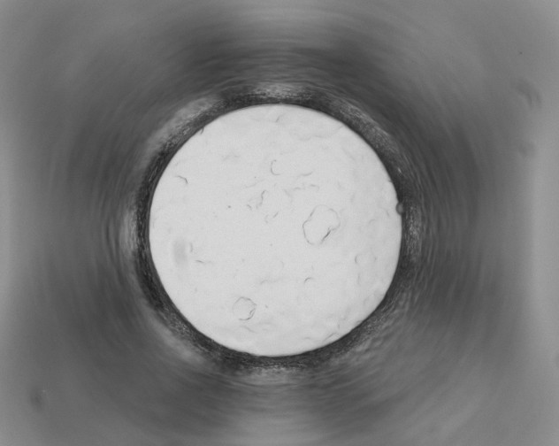 X0000112820734200910021202