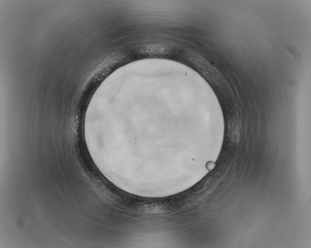 X0000112820735200910021202