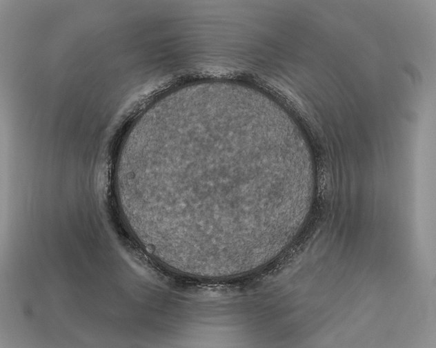 X0000112820736200910021202