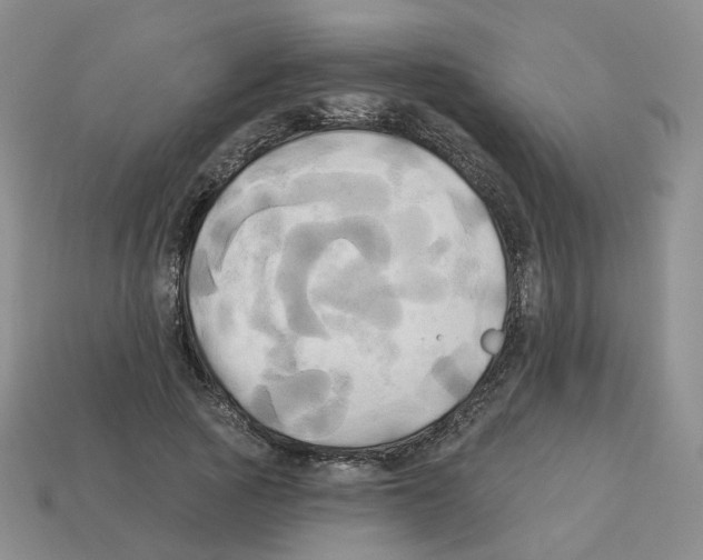 X0000112820737200910021202