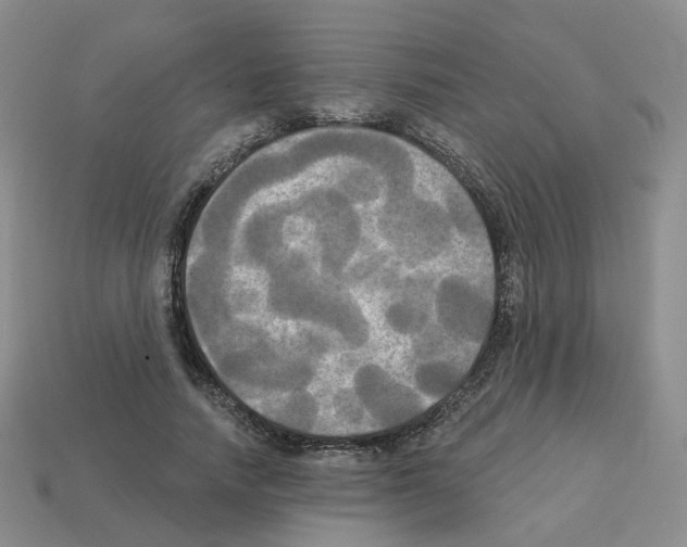 X0000112820738200910021202