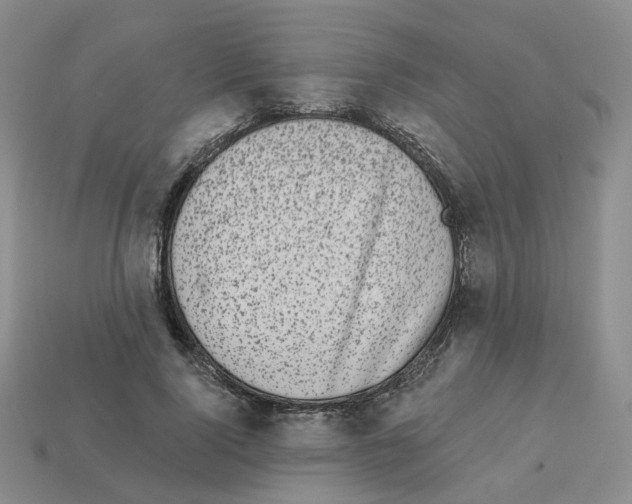 X0000112820740200910021202