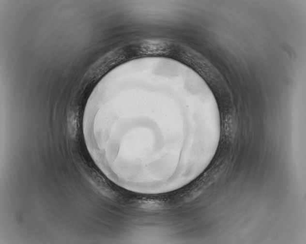 X0000112820741200910021202