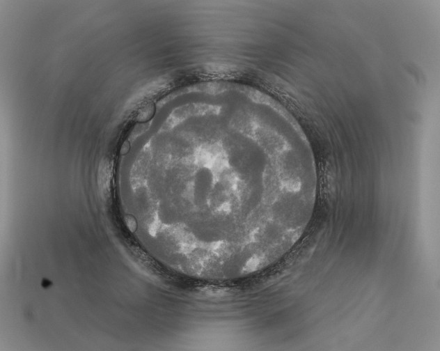 X0000112820742200910021202